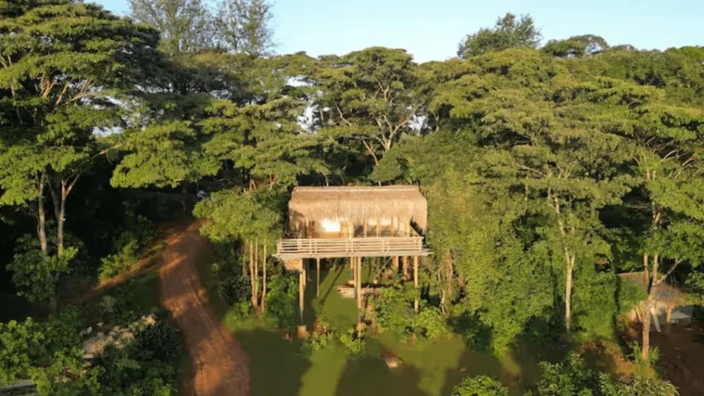 The Malachite Treehouse