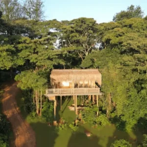 The Malachite Treehouse