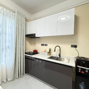 Aurora Studio