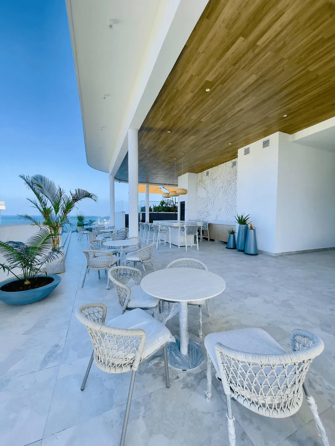 Luxurious Apato - Image 11