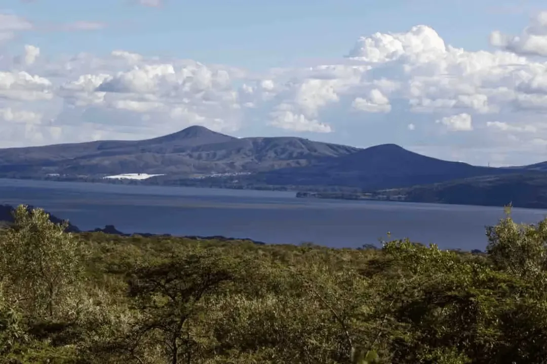 Panoramic Rift Valley Views - Image 12