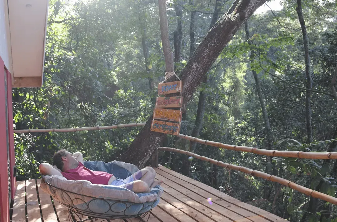 Treehouse With A View - Image 13