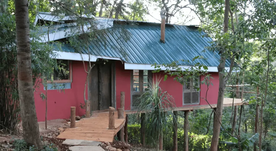 Treehouse With A View - Image 16