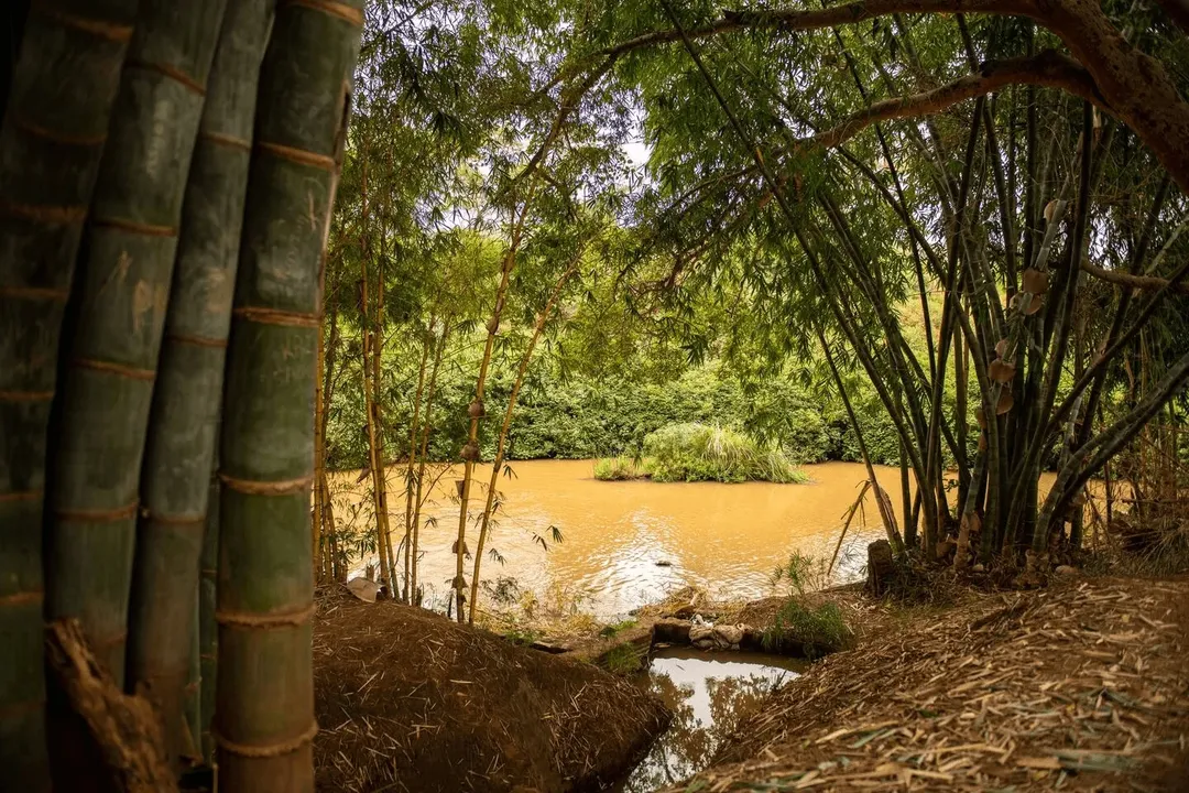 Eco Treehouse - Image 17