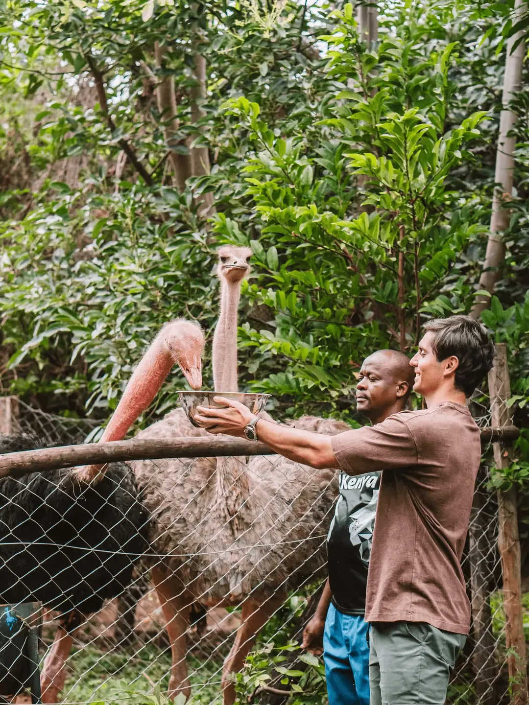 Eco Treehouse - Image 18