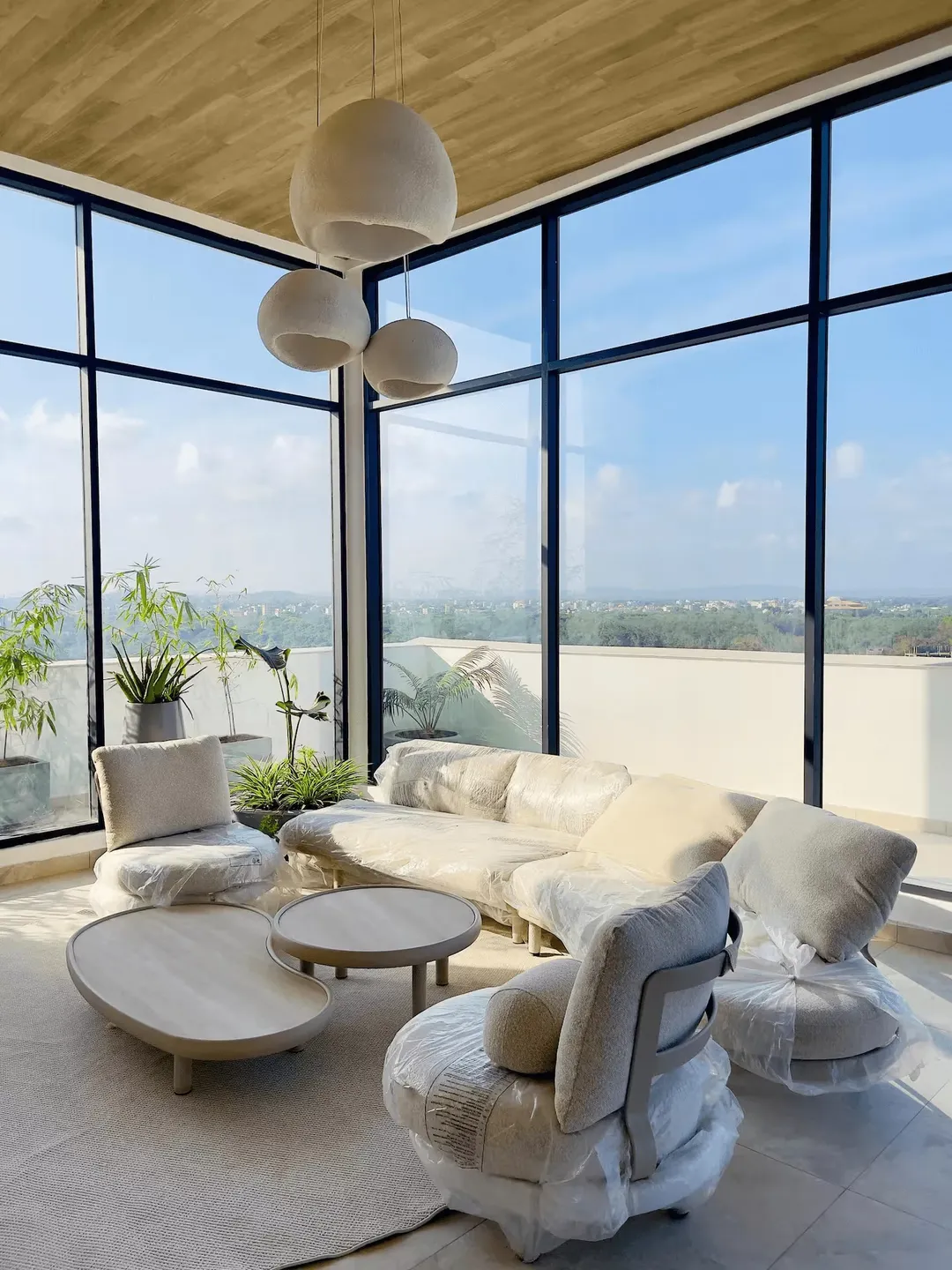Luxurious Apato - Image 2