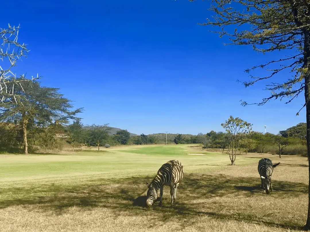 Panoramic Rift Valley Views - Image 5