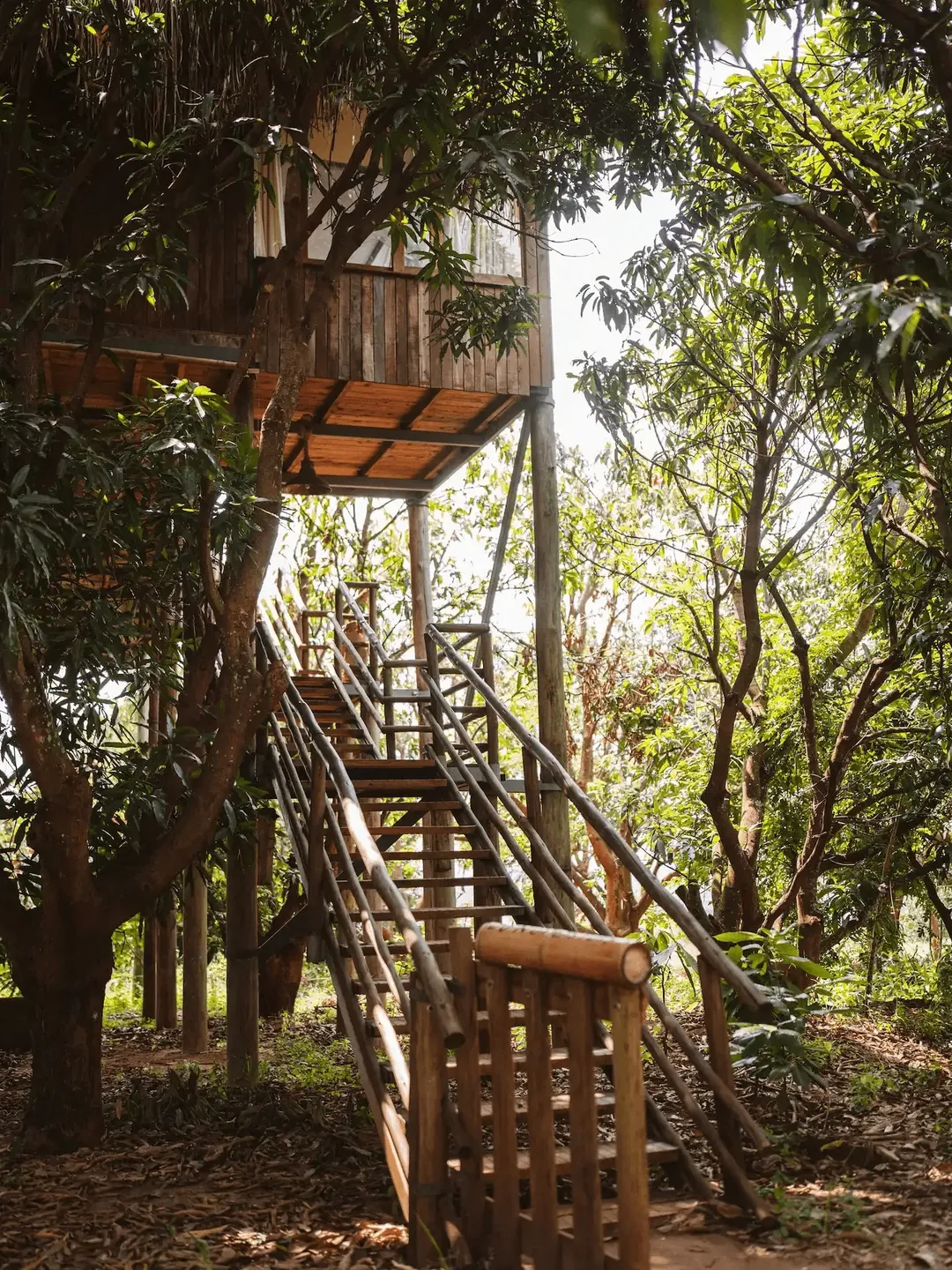 Eco Treehouse - Image 7